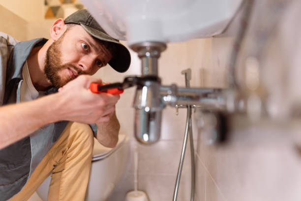 Best Garbage Disposal Repair and Installation  in Clive, IA